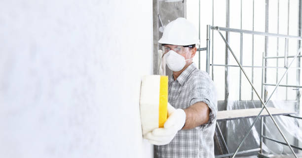 Why You Should Choose Our Mold Remediation Services in Farmersville, TX